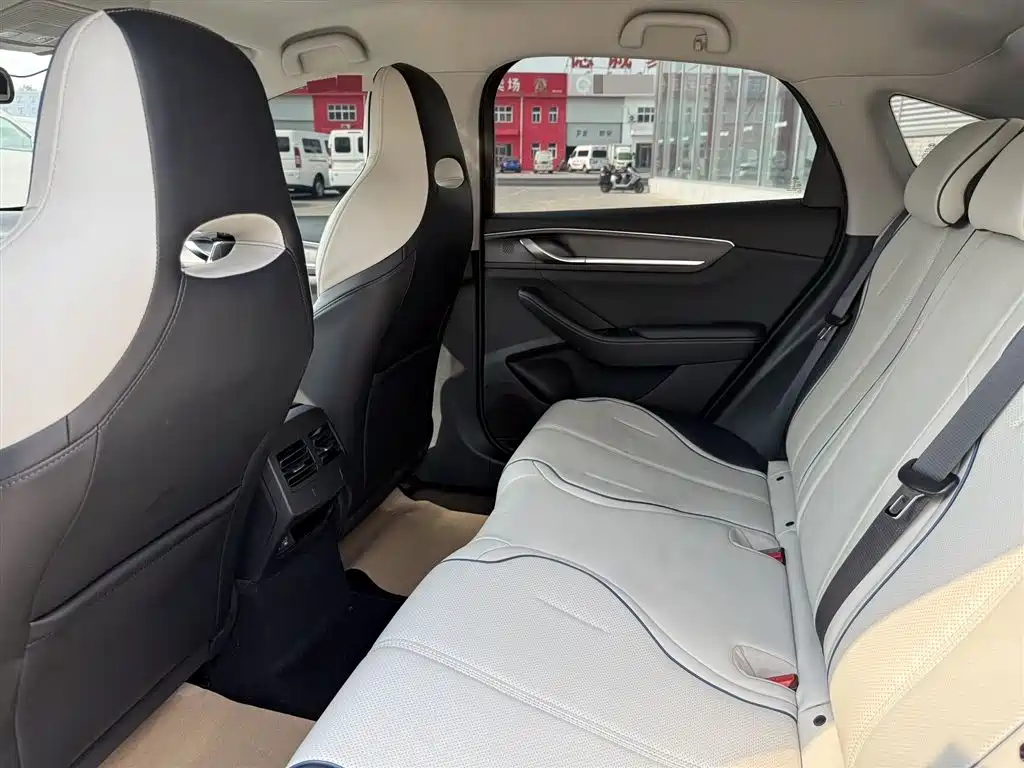BYD Destroyer 05 2024 Glory Edition DM-i 55KM Luxury фото 14