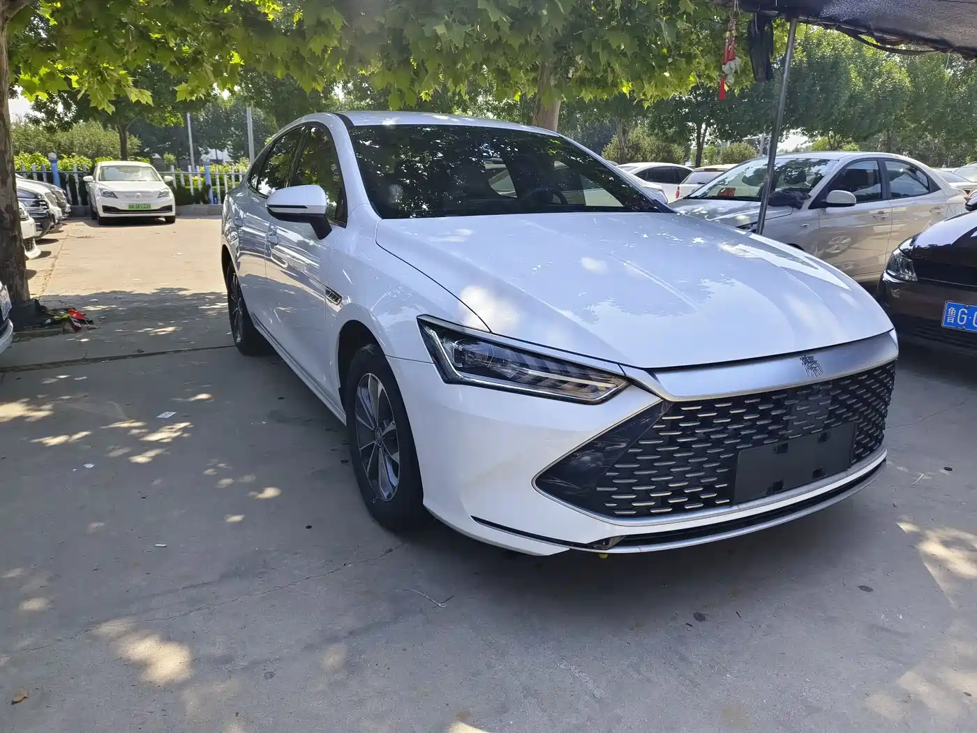 BYD Qin PLUS 2024 Glory Edition DM-i 55KM Leading фото 3