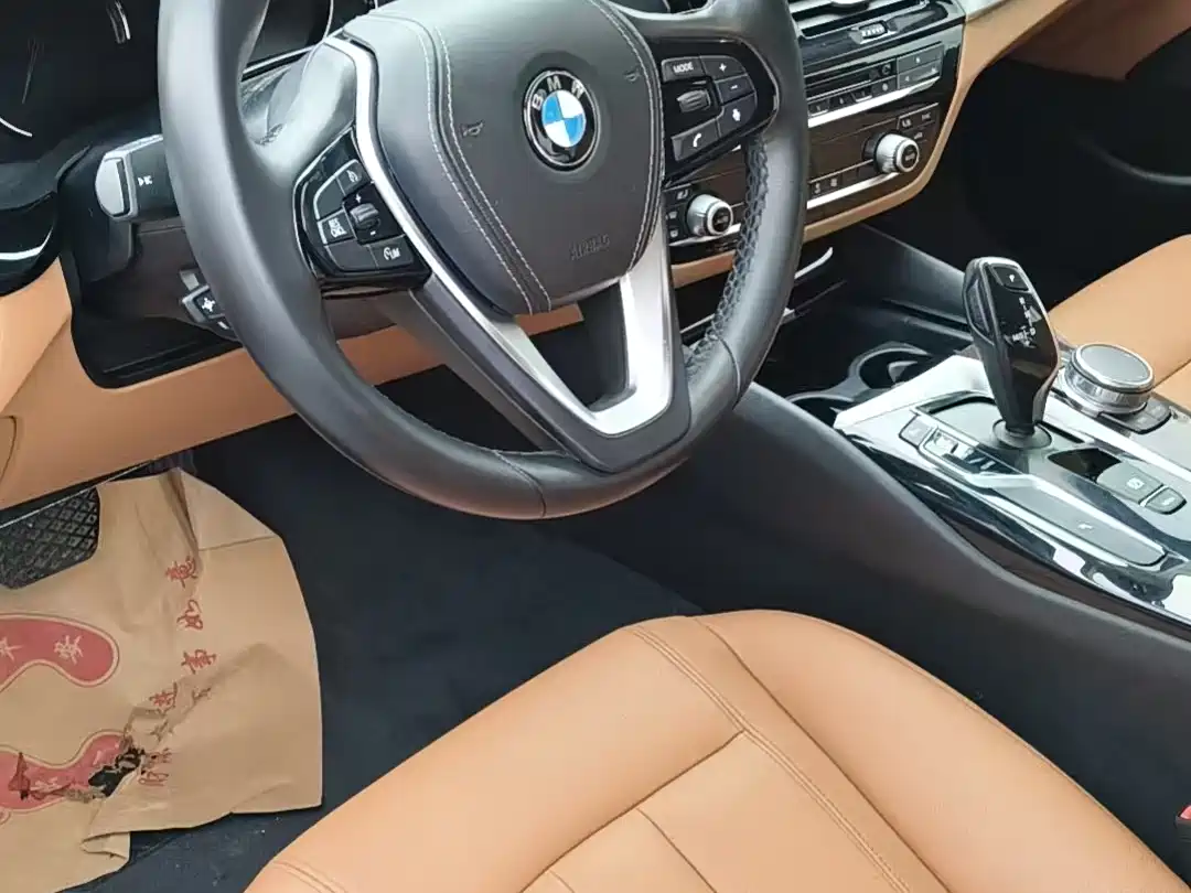 BMW 5 Series 2018 528Li Launch Special Edition фото 4