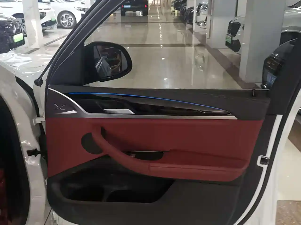 BMW iX3 2023 Leading Type фото 12