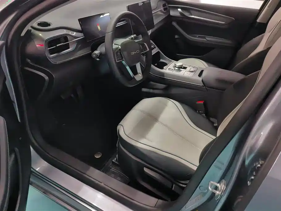 BYD Destroyer 05 2024 Glory Edition DM-i 55KM Luxury фото 9