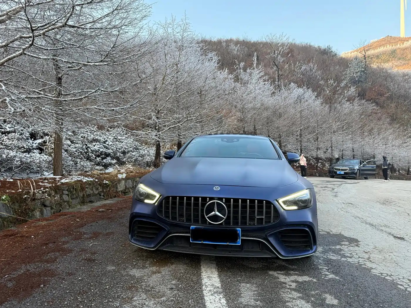 Mercedes-Benz AMG GT 2019 AMG GT 63 S 4MATIC+ 4-Door Coupe фото 7
