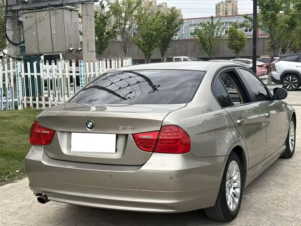 BMW 3 Series 2010 318i Progressive фото 13
