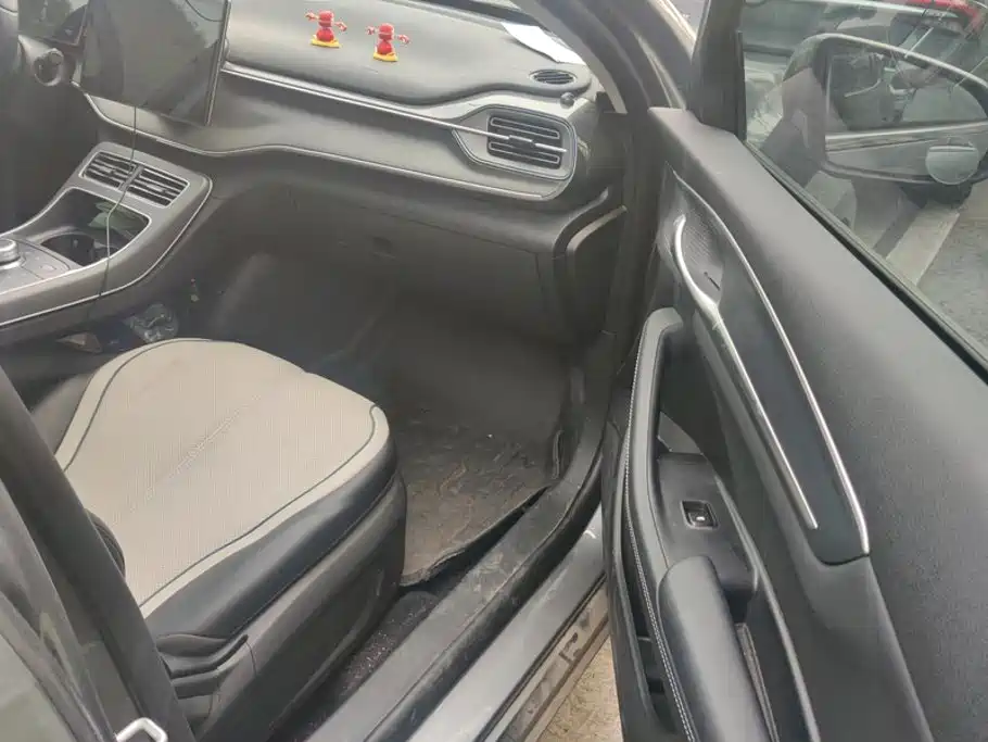 BYD Destroyer 05 2025 2024 Glory Edition DM-i 55KM Luxury