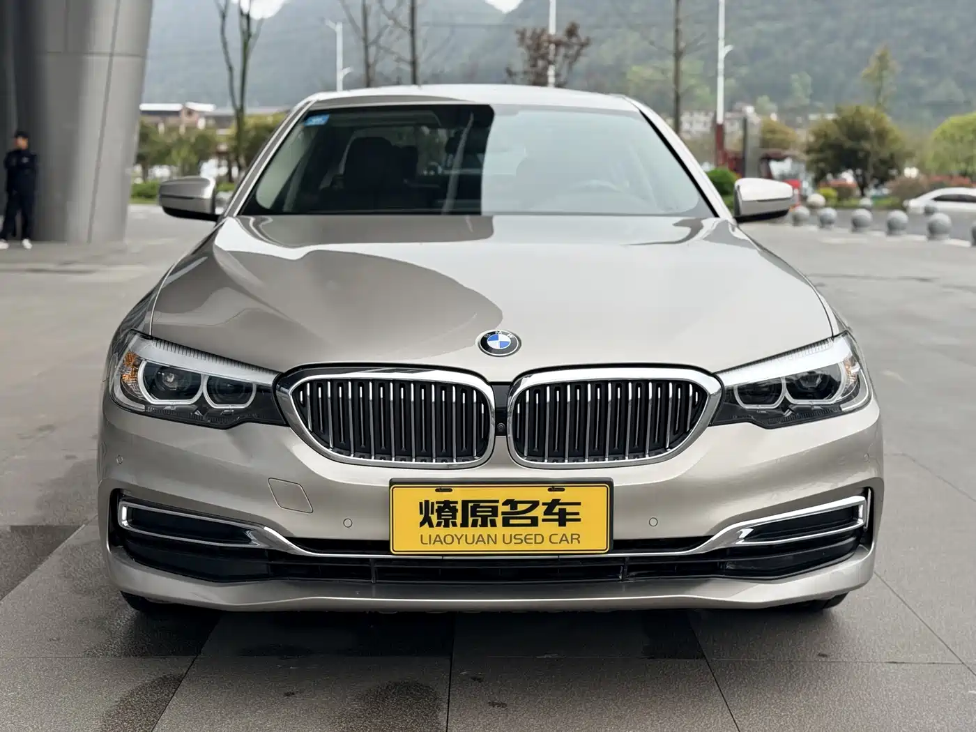 BMW 5 Series 2020 525Li Luxury Package фото 2