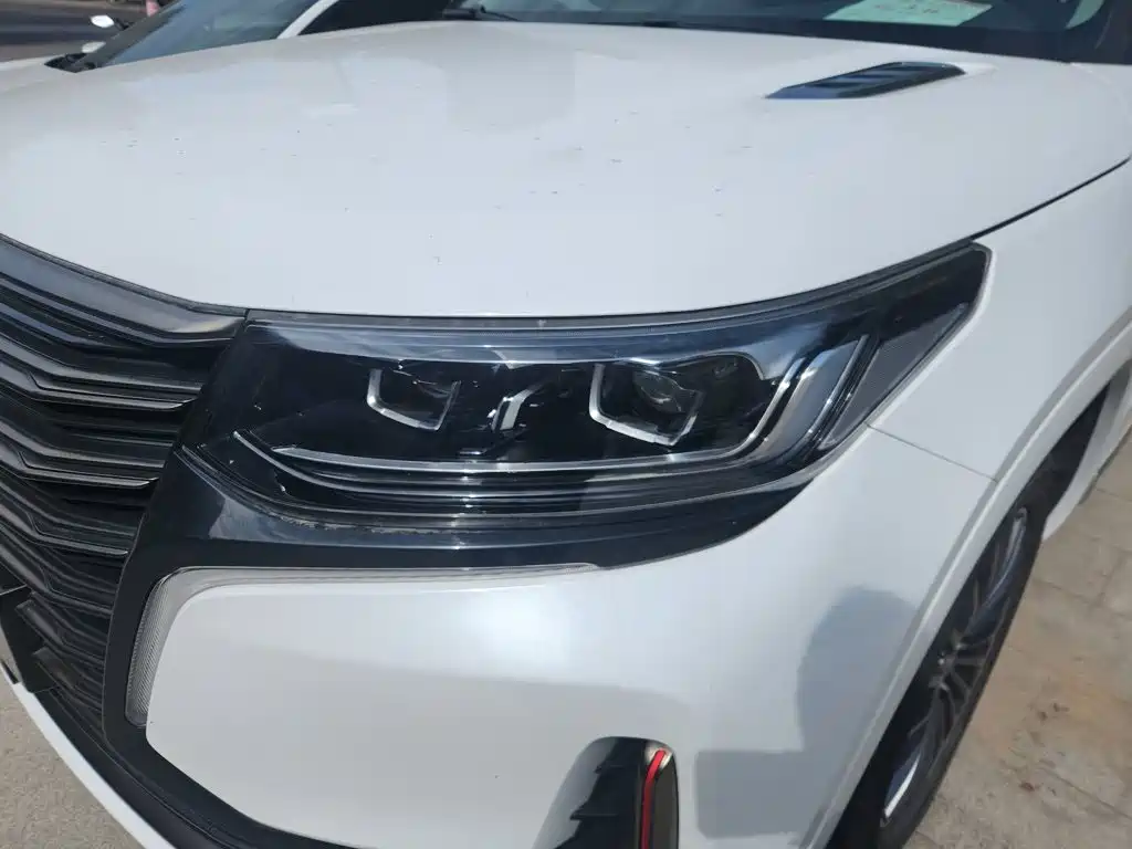Changan CS95 2021 2021 2.0T 2WD Luxury