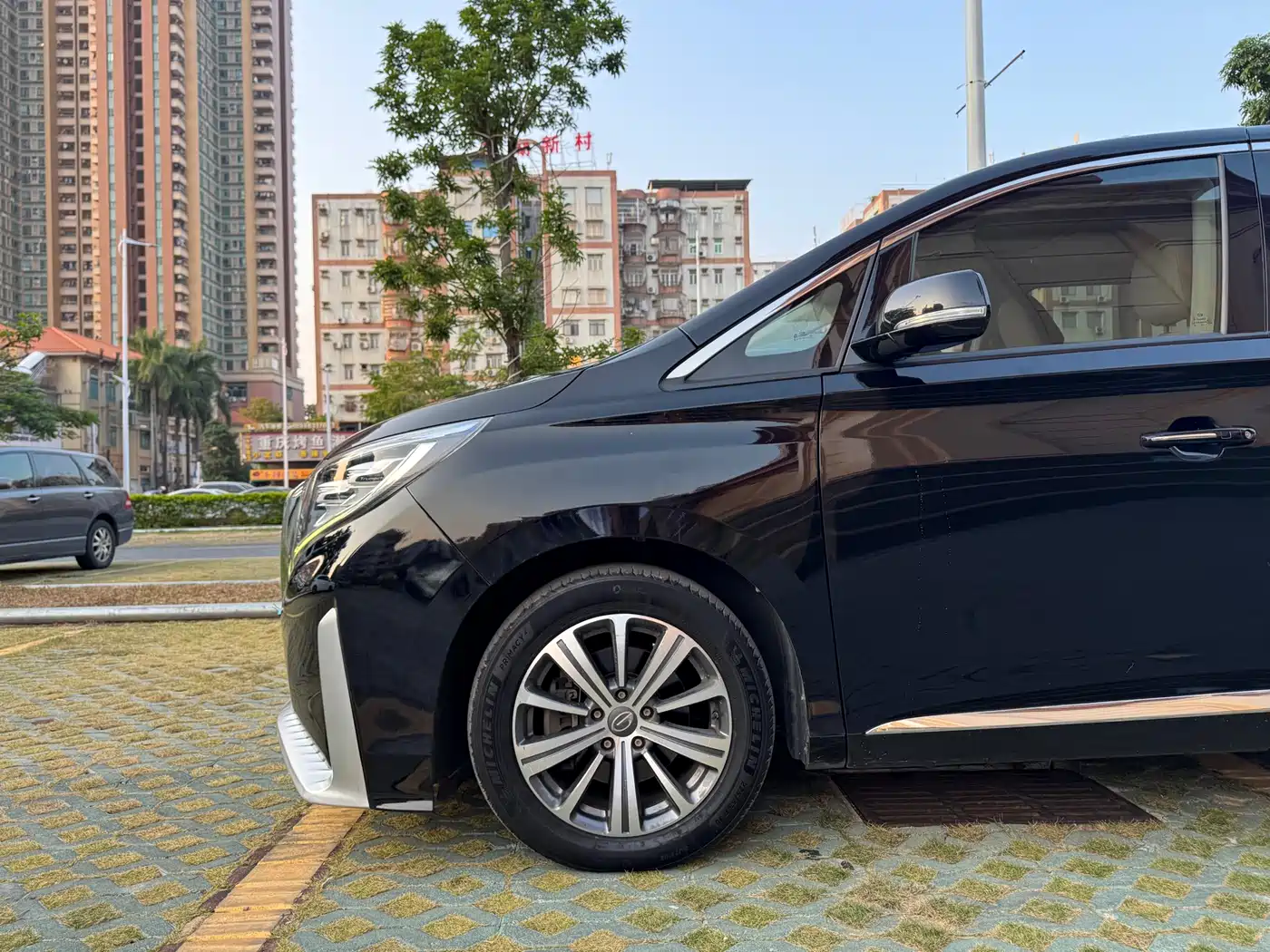 GAC Trumpchi Trumpchi M8 2018 320T Premium Edition фото 8