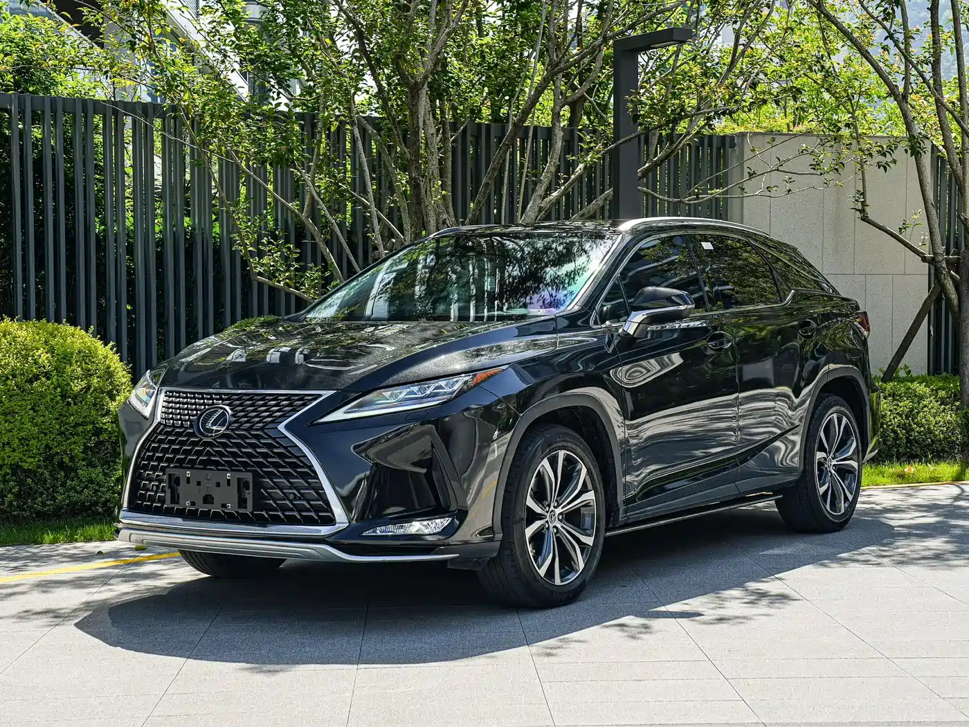 Lexus RX 2020 300 4WD Elegance Edition China VI
