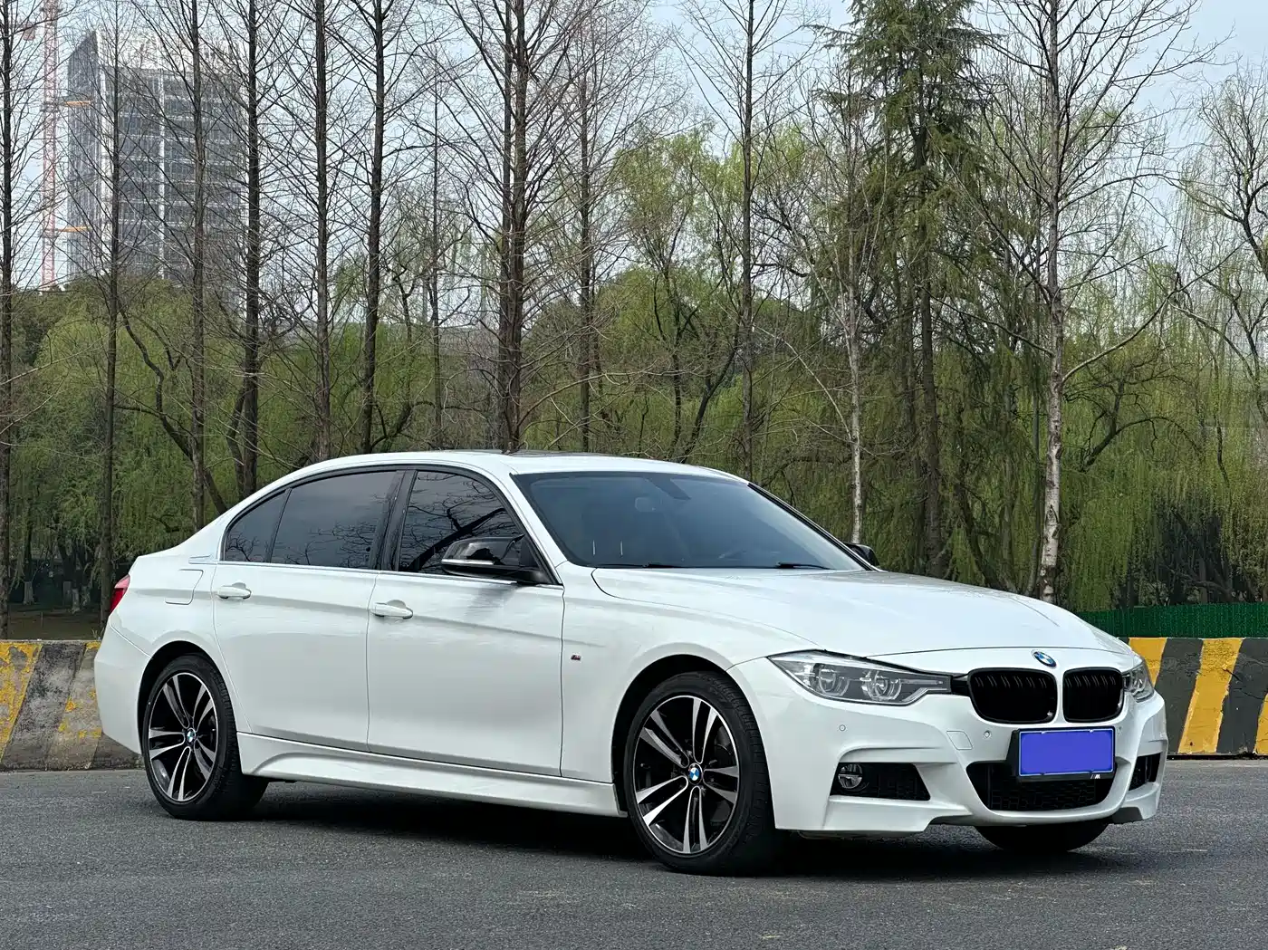 BMW 3 Series 2019 320Li M Luxury Package фото 3