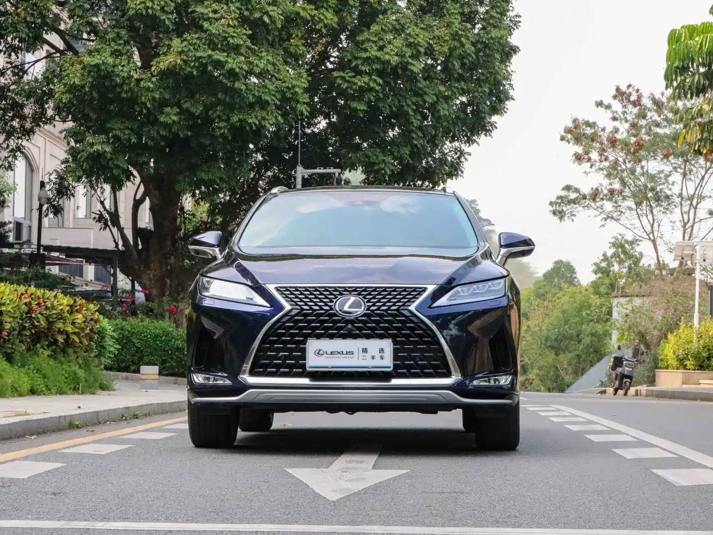 Lexus RX 2020 Facelift 300 AWD Elegance Edition фото 2