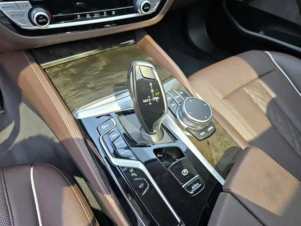 BMW 5 Series 2021 525Li Luxury Package фото 7
