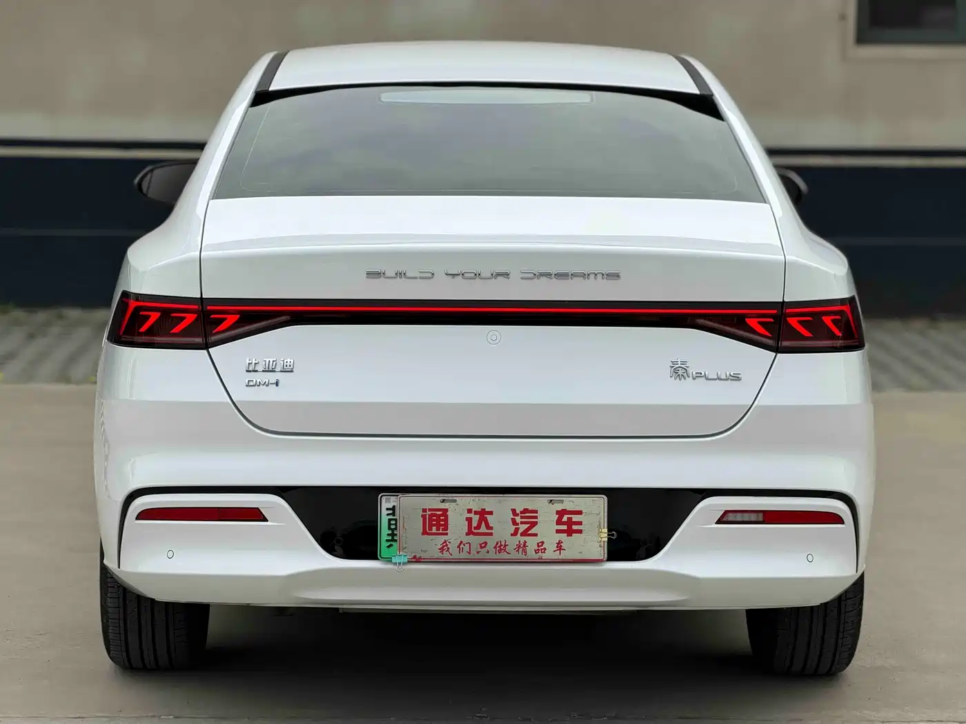 BYD Qin PLUS 2024 Glory Edition DM-i 55KM Leading фото 4