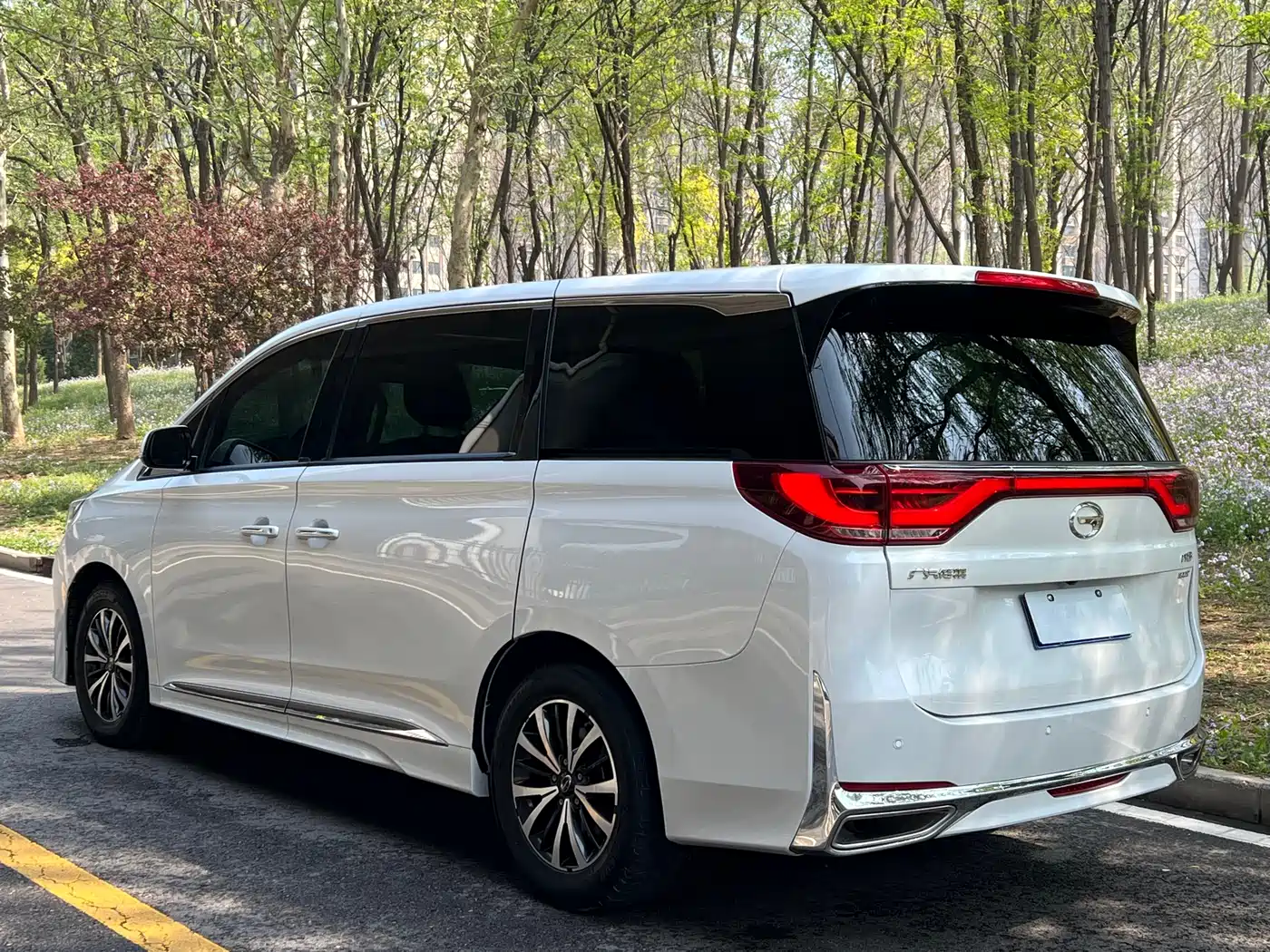 GAC Trumpchi Trumpchi M8 2021 Leading Show Series 390T Premium Edition фото 7