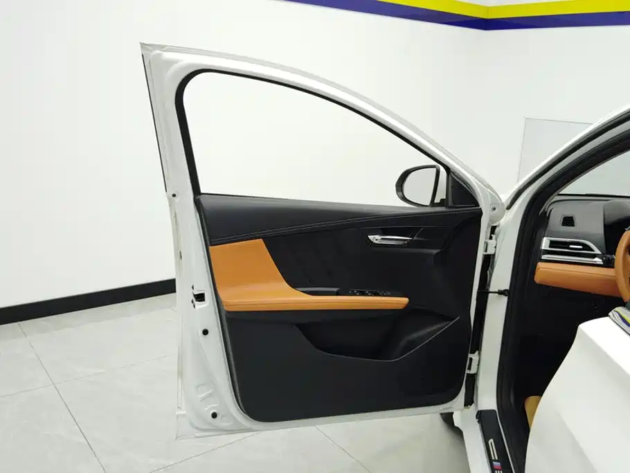 BYD e2 2022 2021 Luxury Edition