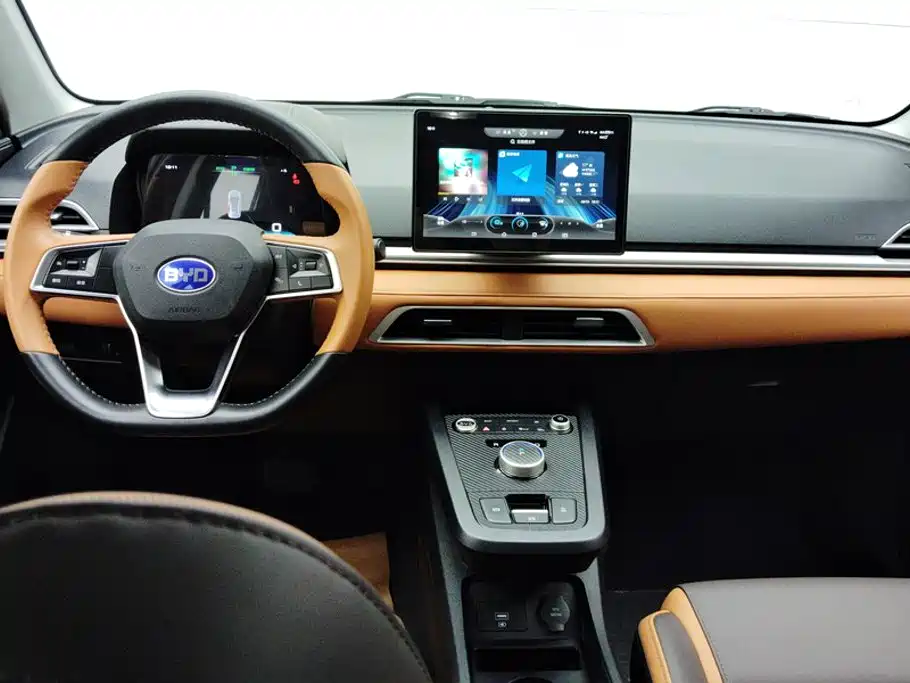 BYD e2 2022 2021 Luxury Edition