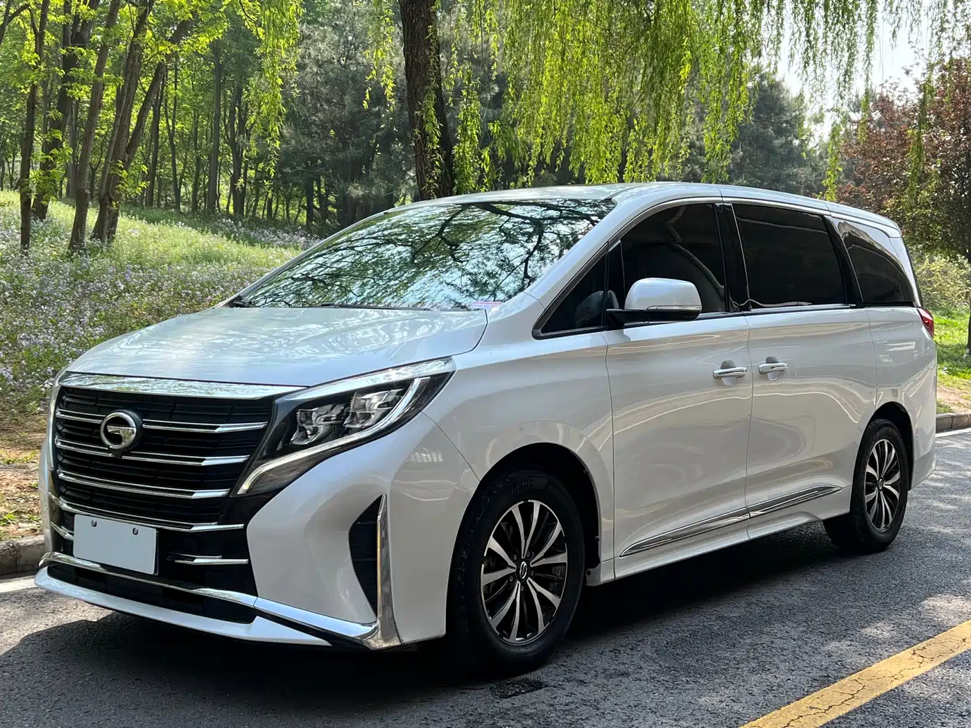 GAC Trumpchi Trumpchi M8 2021 Leading Show Series 390T Premium Edition
