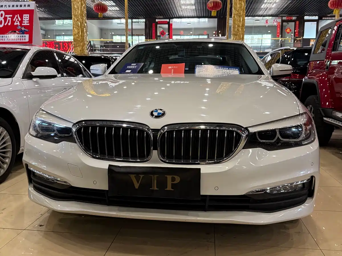 BMW 5 Series 2018 528Li Launch Special Edition фото 2