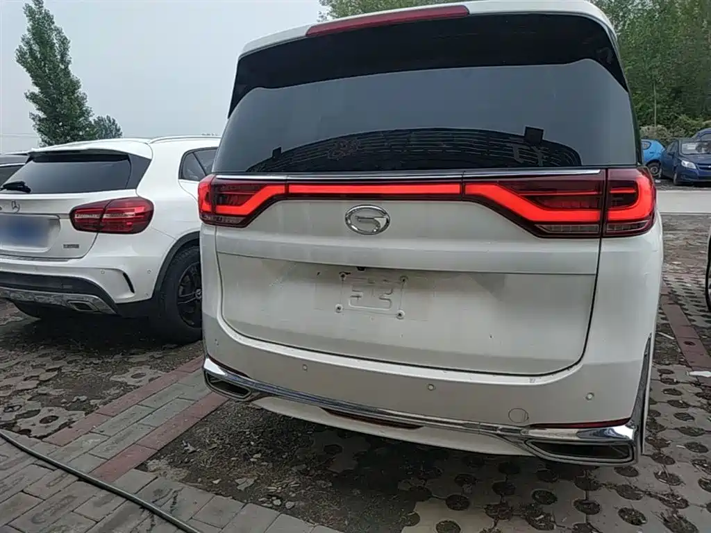 GAC Trumpchi Trumpchi M8 2021 Leading Show Series 390T Ultimate Edition фото 4