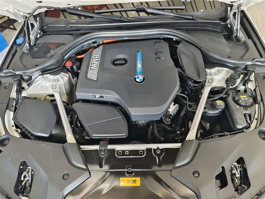 BMW 5 Series New Energy 2018 530Le Luxury Package фото 15