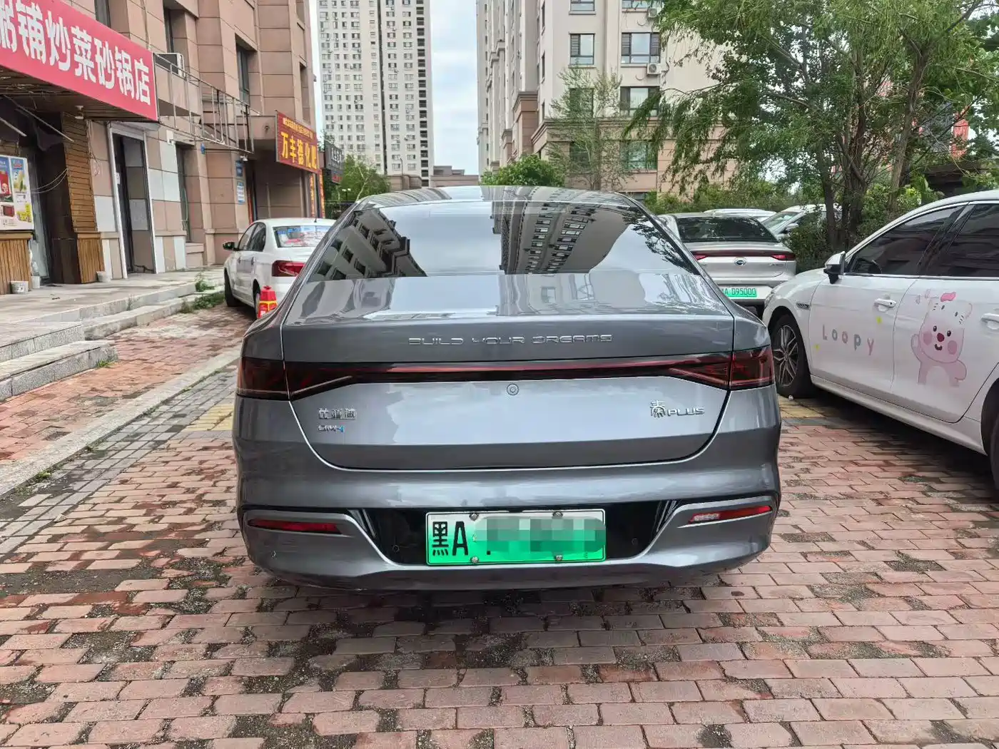 BYD Qin PLUS 2023 Champion Edition DM-i 120KM Leading Type фото 8