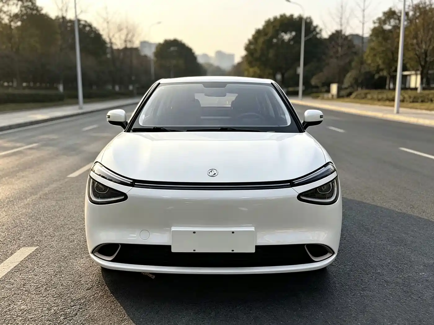 Dongfeng Yipai Nano 01 2025 2025 330 Youth Edition