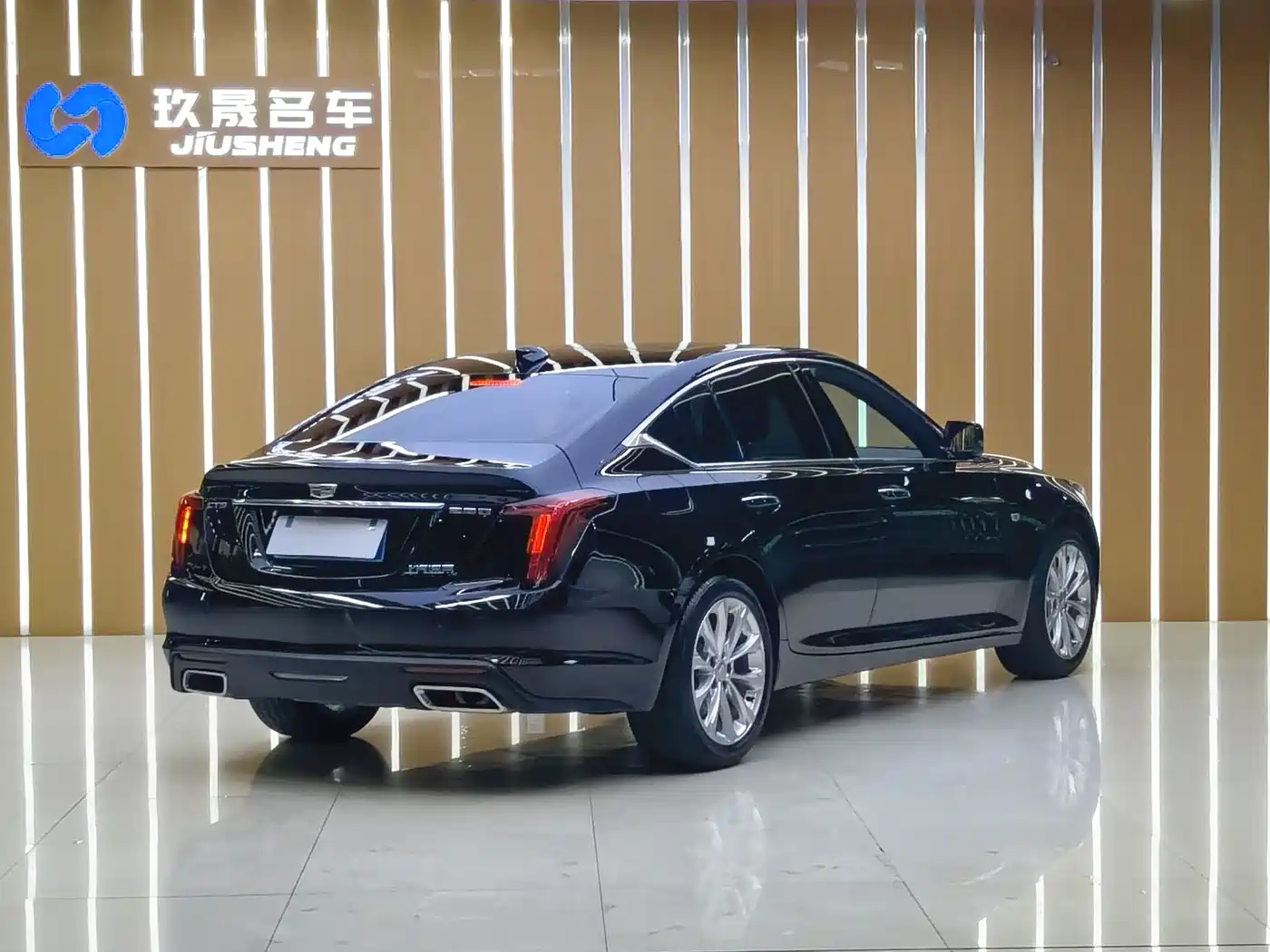 Cadillac CT5 2023 28T Luxury Style (Standard Edition) фото 6