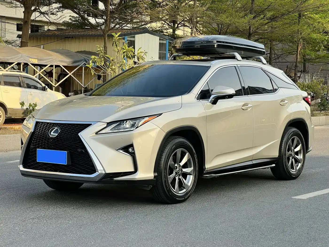LEXUS RX
