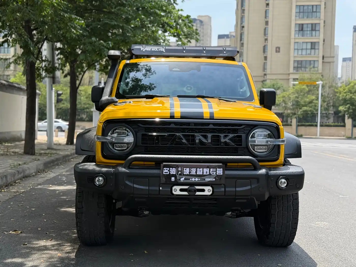 Tank 300 2022 2.0T Border Limited Edition фото 2