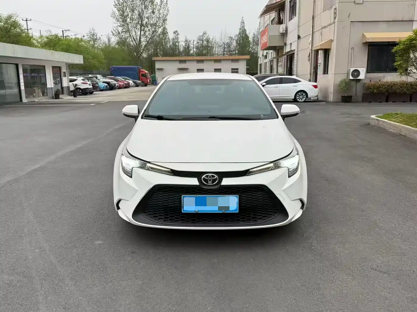 TOYOTA LEI LING