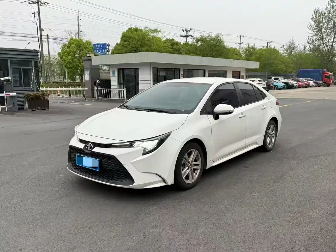 TOYOTA LEI LING 2023