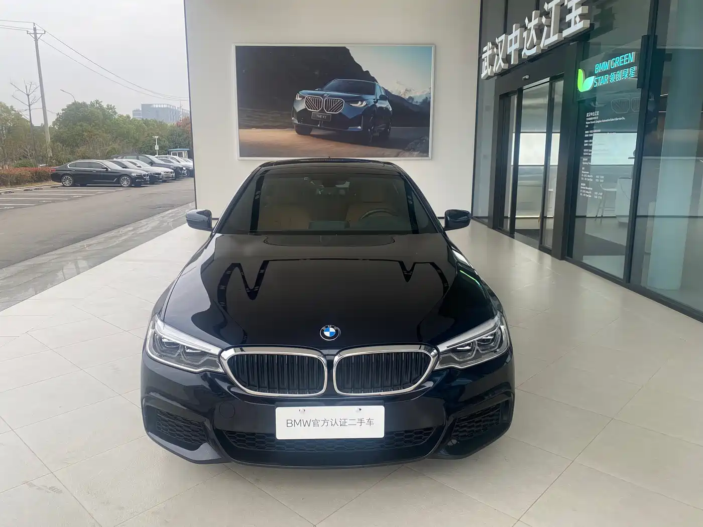 BMW 5 Series 2020 530Li Leading M Sport Package фото 3