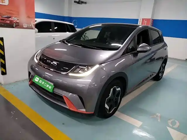 BYD Dolphin 2023 420km Freedom Edition