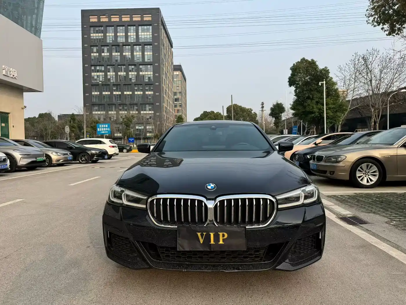 BMW 5 Series 2023 530Li Leading Luxury Package фото 2