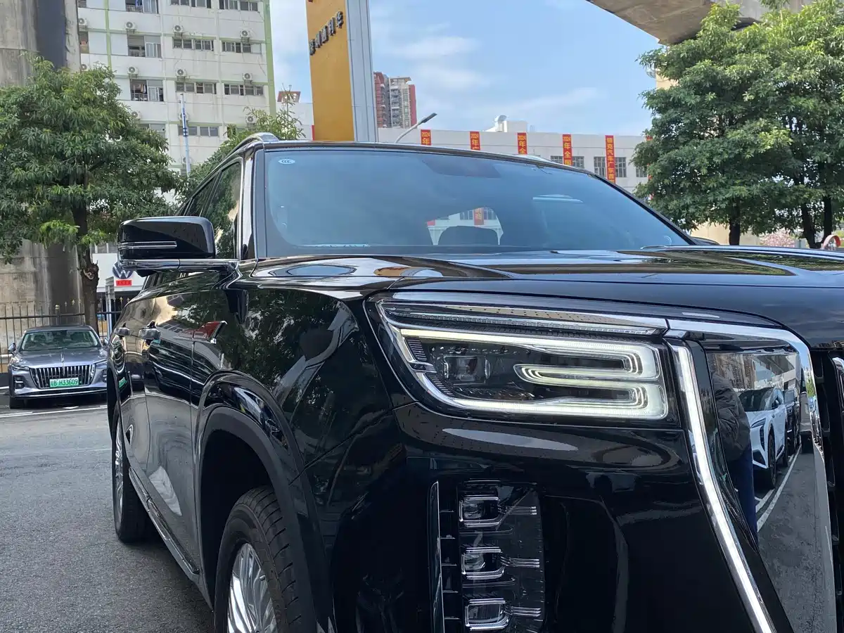 Hongqi Guoyao 2022 4.0T Premium Flagship 4-Seater фото 24