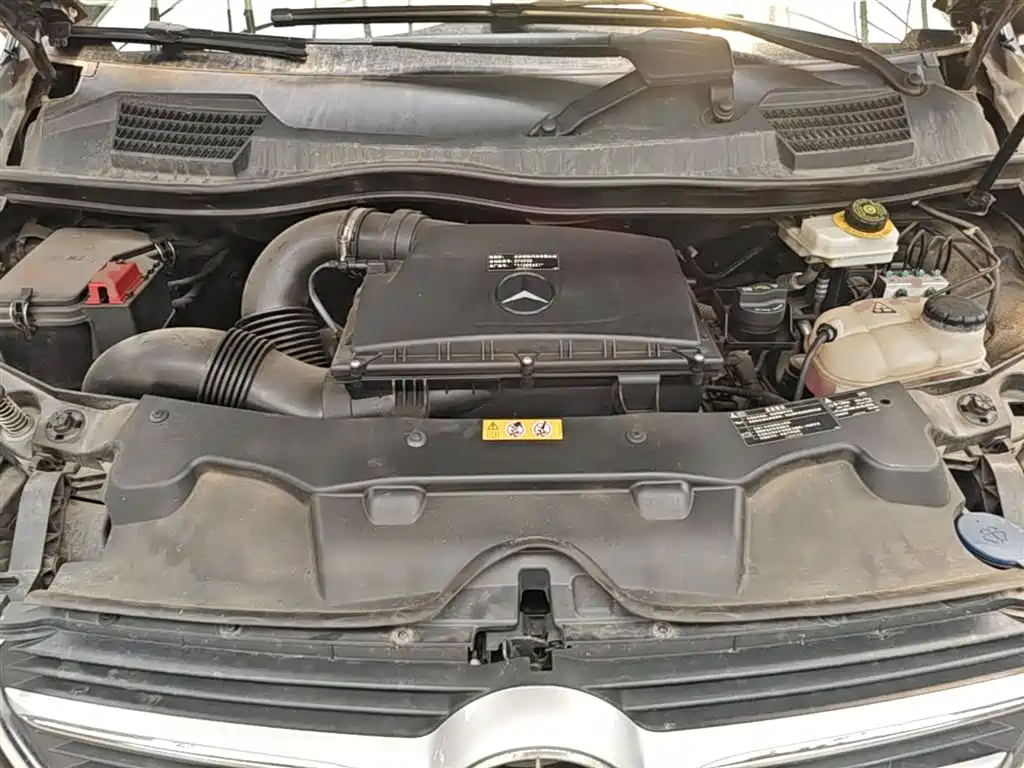Mercedes-Benz V-Class 2018 V 260 Premium Edition China V фото 20