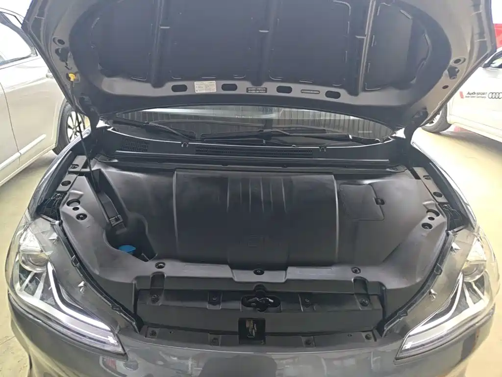 Nezha Auto Nezha V 2021 2021 Standard Range Entertainment Upgrade