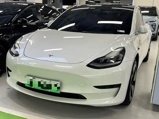 TESLA MODEL 3 2020