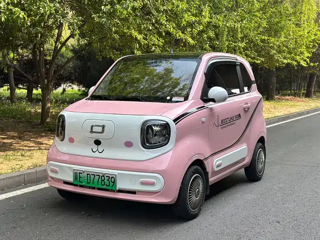 BESTUNE PENTIUM PONY