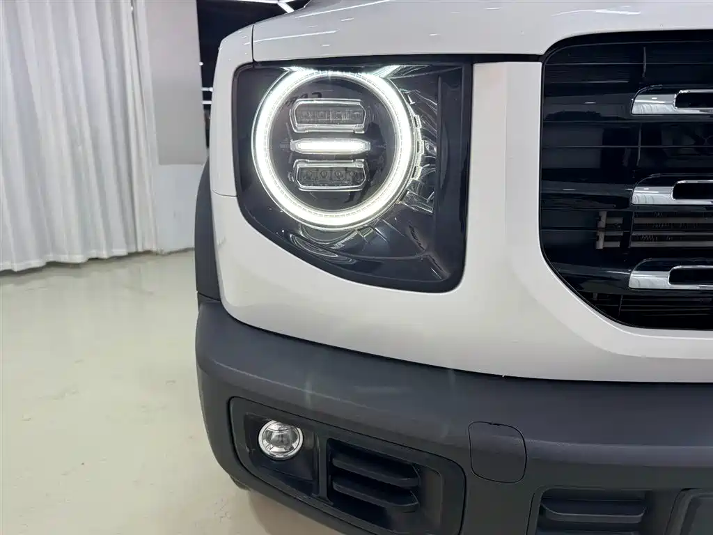 Haval Big Dog 2021 1.5T DCT 2WD Labrador Edition фото 26