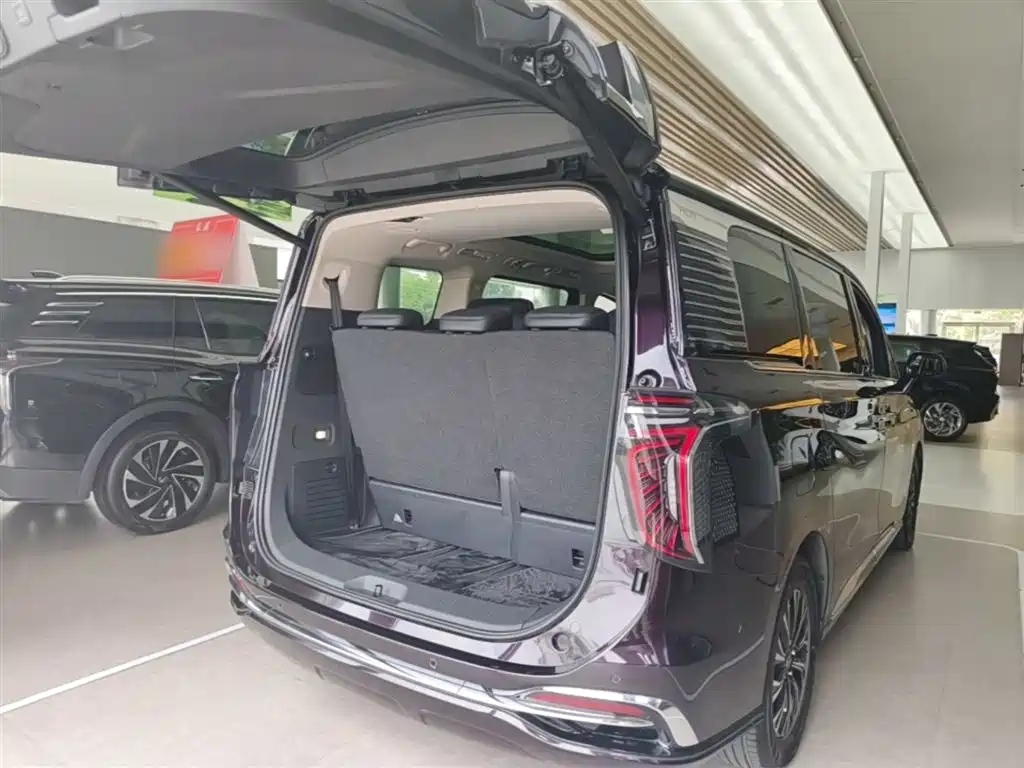 Hongqi HQ9 PHEV 2024 Model 2.0T AWD Luxury Edition фото 19