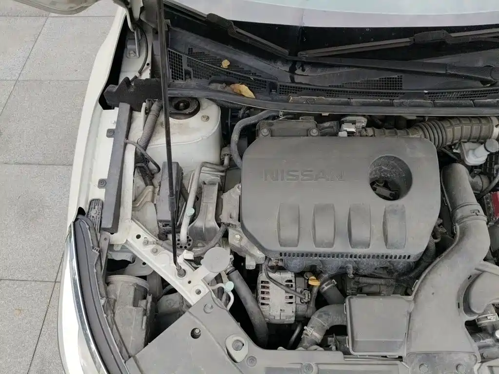 Venucia D60 2017 2018 1.6L CVT Smart Connection Luxury Edition