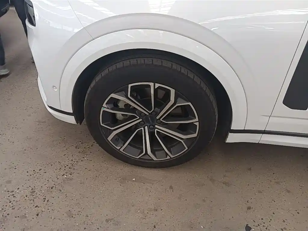Lynk & Co 09 EM-P 2023 2.0TD EM-P Voyage PM 7-Seater фото 25