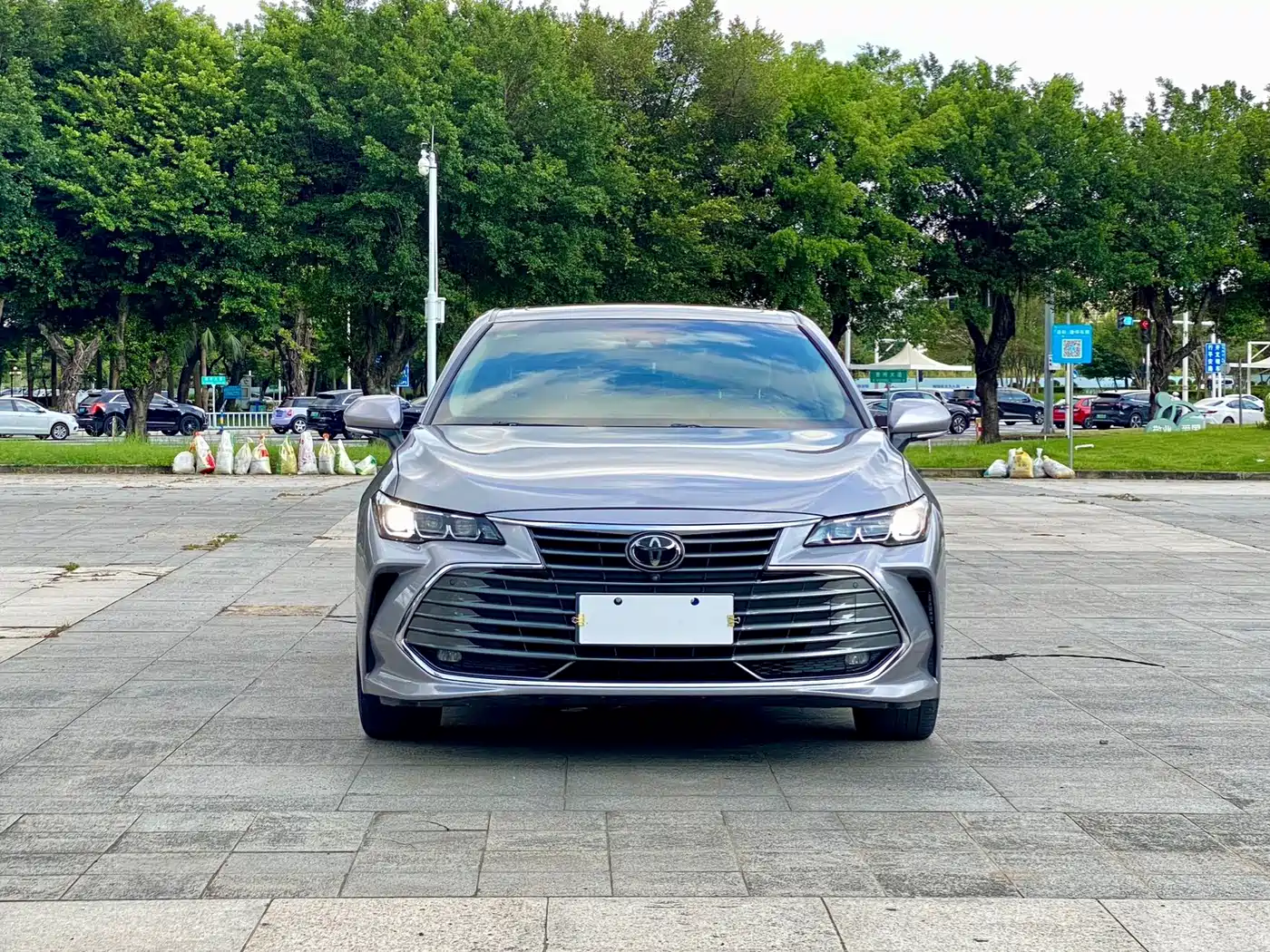 Toyota Avalon 2019 2.0L XLE Premium Edition (China VI) фото 2