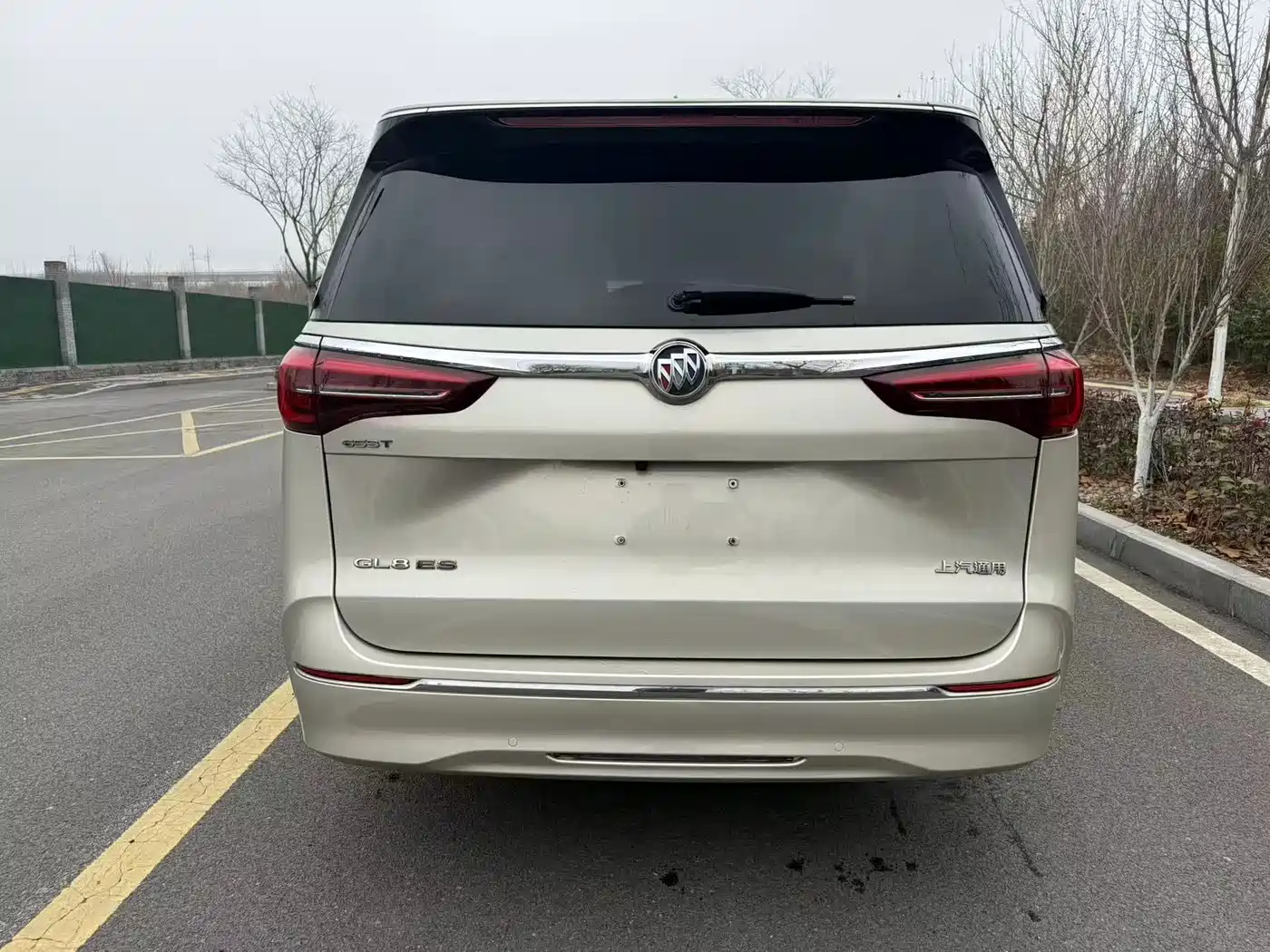 Buick GL8 2022 ES Landmark 653T Comfort фото 6