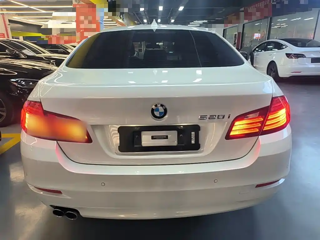 BMW 5 Series (Import) 2015 520i Elegance фото 6