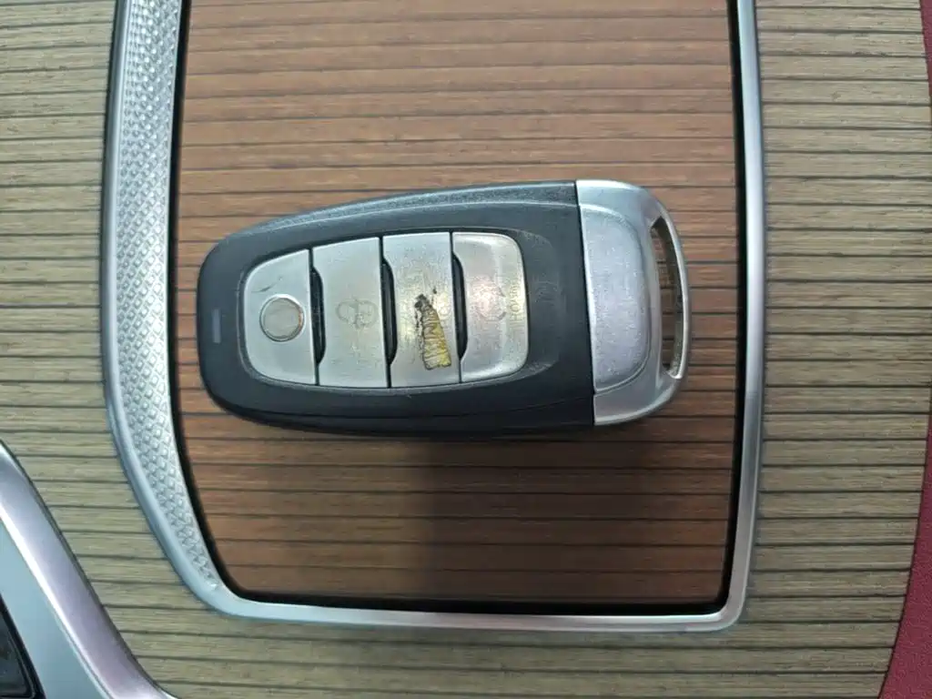 Photo 9 - Hongqi E-HS9