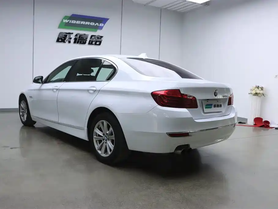BMW 5 Series 2014 520Li Elegance фото 6