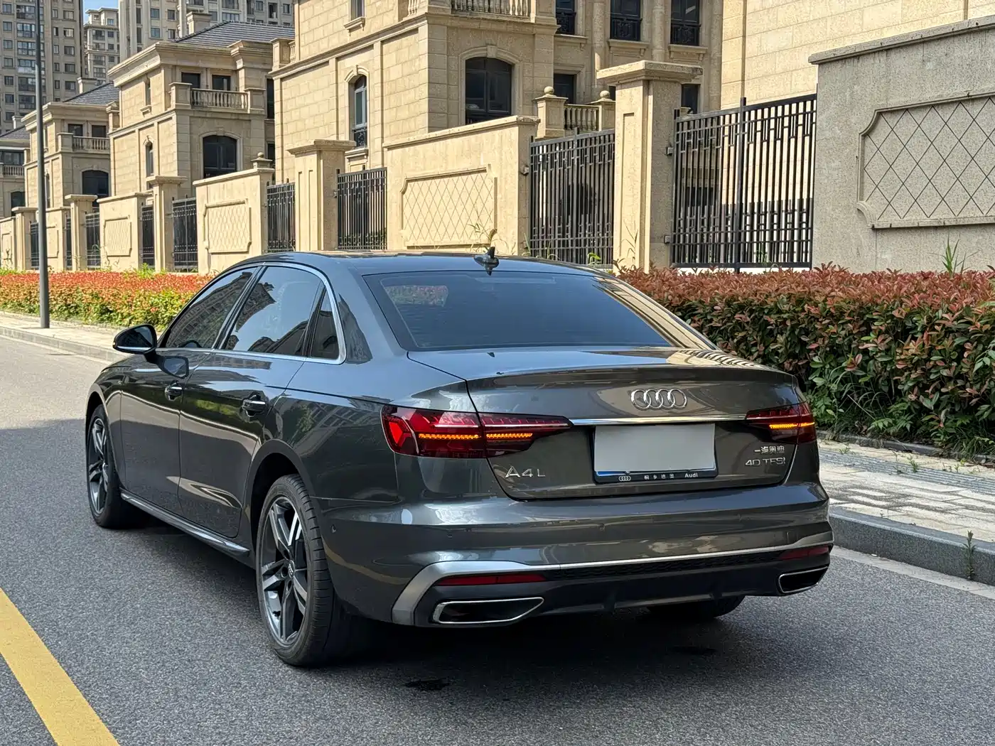 Audi A4L 2020 40 TFSI Luxury Dynamic фото 7
