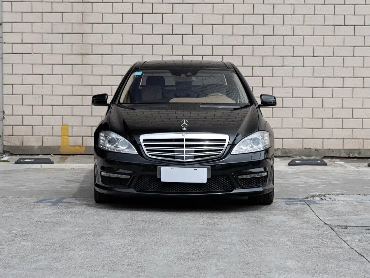 Mercedes-Benz S-Class AMG 2010 AMG S 65 фото 2