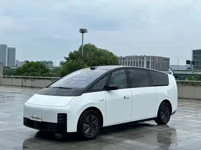 Li Auto MEGA